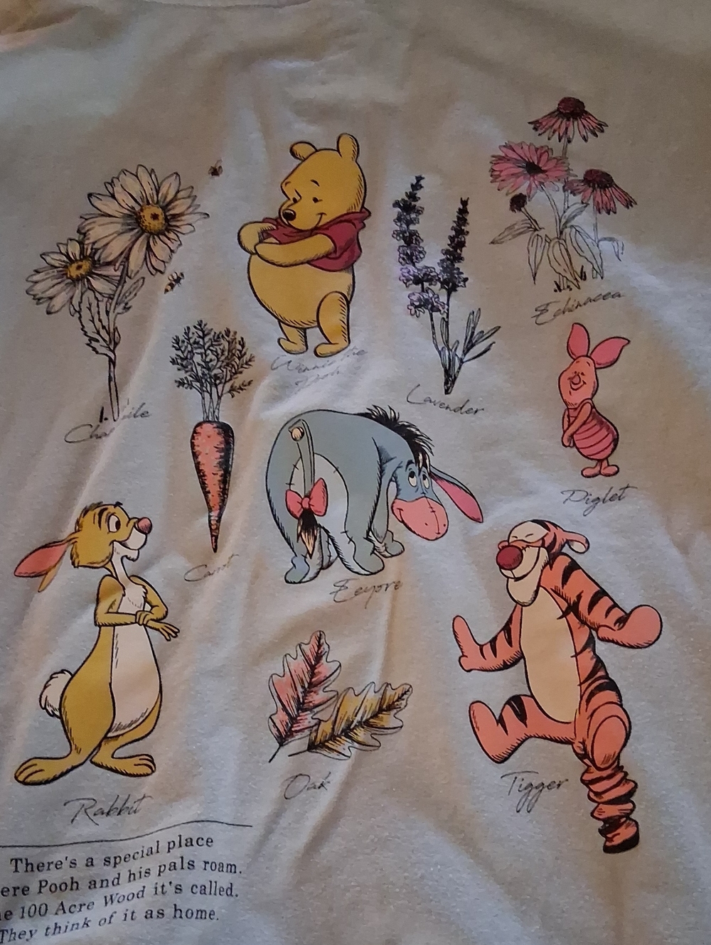 Light Gray/Tan Zip-Up Hoodie with Winnie the Pooh Graphic